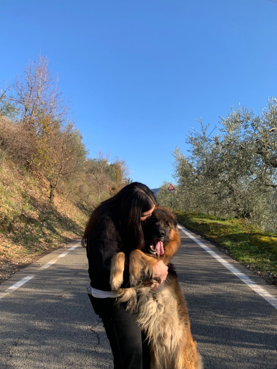 <em> Luis Fernando </em>