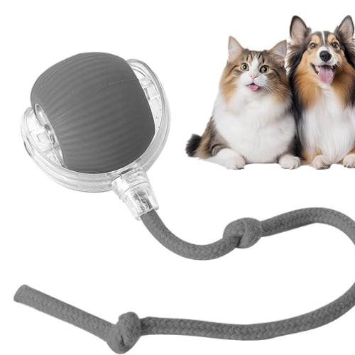 Pelota Interactiva Para Mascotas