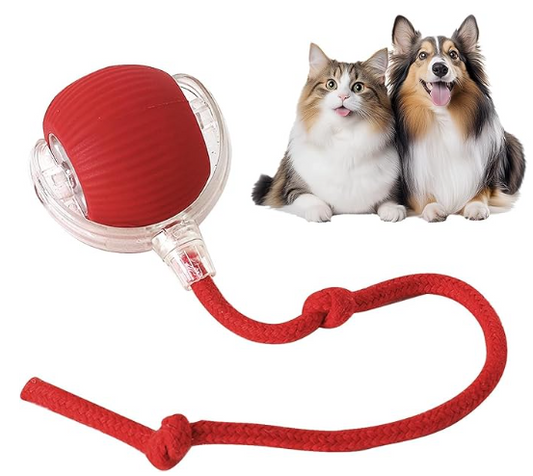 Pelota Interactiva Para Mascotas