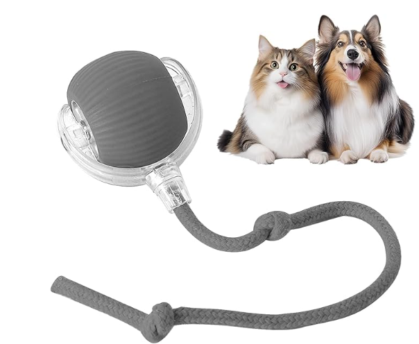 Pelota Interactiva Para Mascotas
