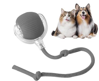 Pelota Interactiva Para Mascotas