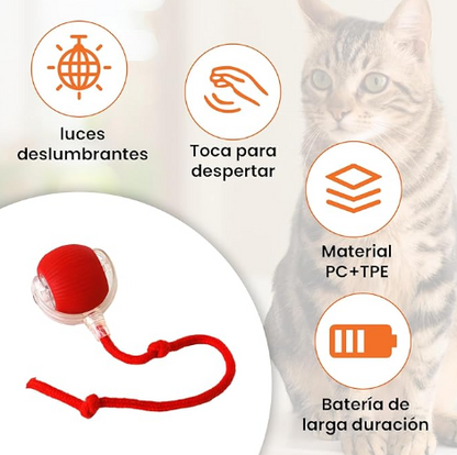 Pelota Interactiva Para Mascotas