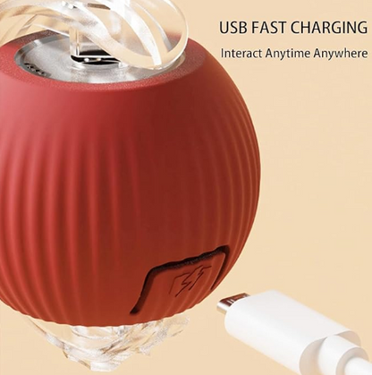 Pelota Interactiva Para Mascotas